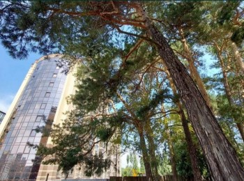 Однокомнатная квартира в новострое